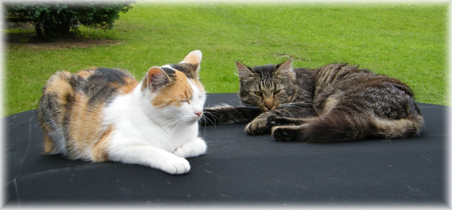 DSCF5619,u.jpg
