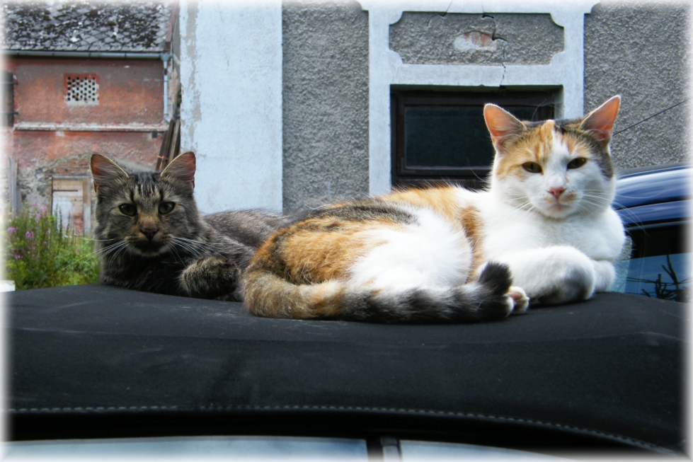 DSCF5634,u.jpg